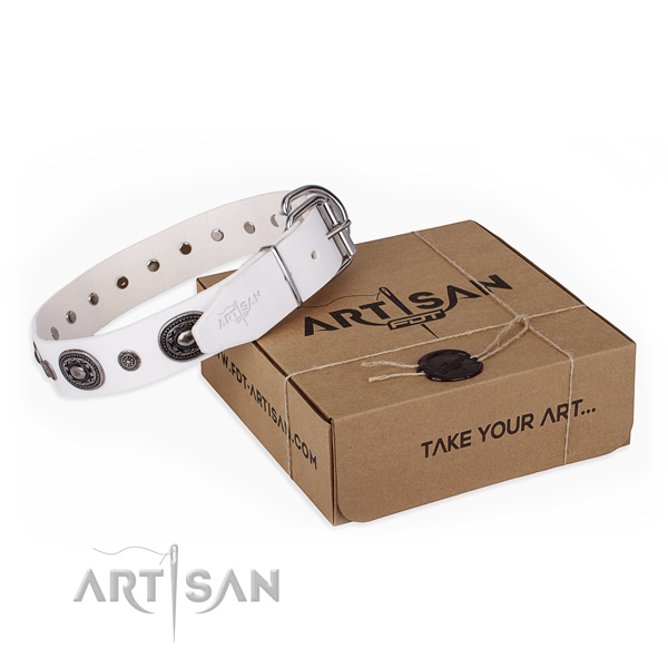 High quality leather dog collar crafted for fancy walking