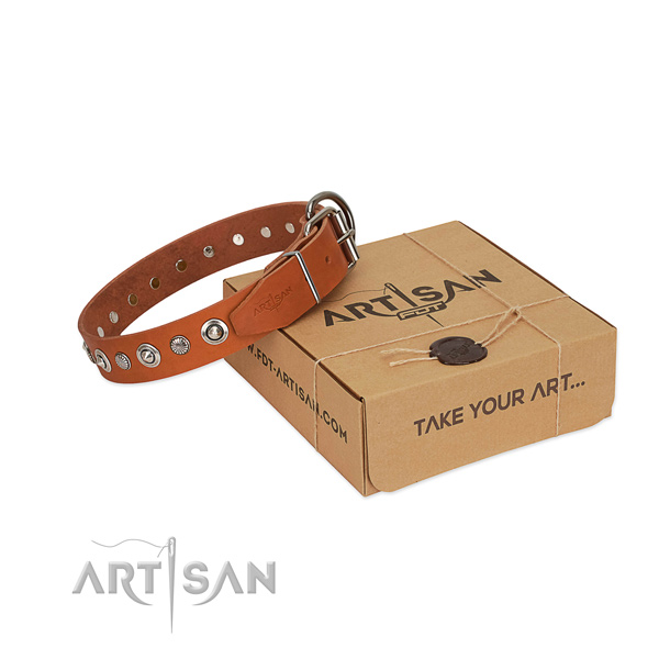 High quality natural leather dog collar with remarkable adornments