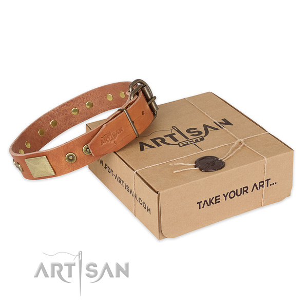Corrosion resistant buckle on full grain genuine leather dog collar for basic training