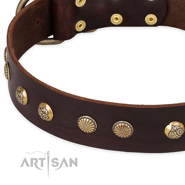 Full grain genuine leather collar with durable fittings for your handsome dog