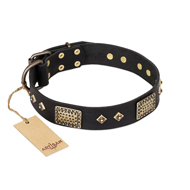 "Jewel Passion" FDT Artisan Fashionable Black Leather Great Dane Collar
