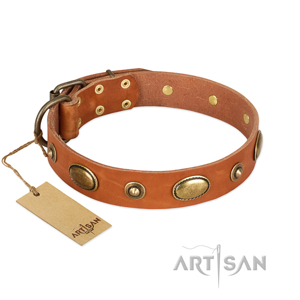 Incredible genuine leather collar for your doggie