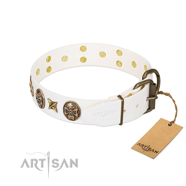 Durable traditional buckle on genuine leather collar for basic training your four-legged friend