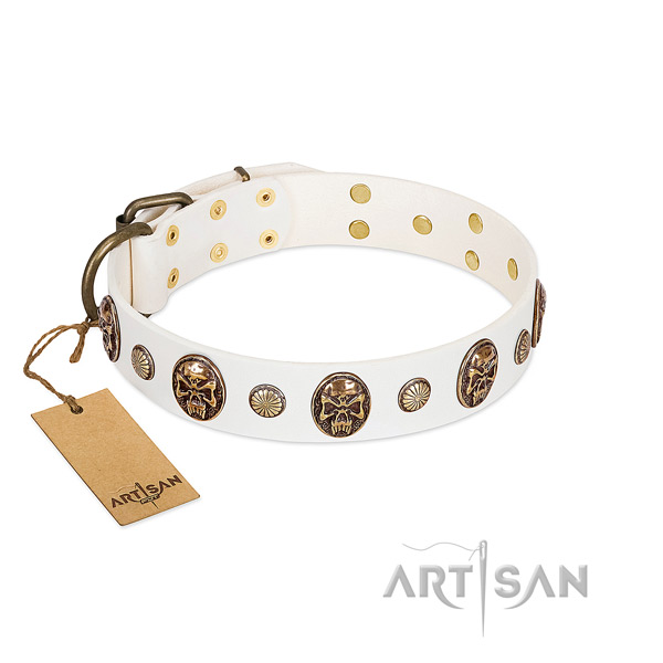 Embellished natural genuine leather dog collar for daily walking