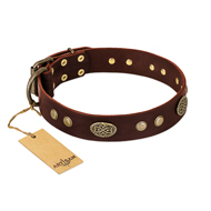 "Old-fashioned Glamor" FDT Artisan Brown Leather Great Dane Collar with Old Bronze Look Plates and Circles