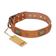 "Cosmic Traveller" FDT Artisan Adorned Leather Great Dane Collar with Old Bronze-Plated Stars and Plates "Cosmic Traveller" FDT Artisan Adorned Leather Great Dane Collar with Old Bronze-Plated Stars and Plates