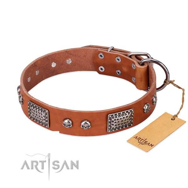 Easy to adjust full grain genuine leather dog collar for daily walking your four-legged friend