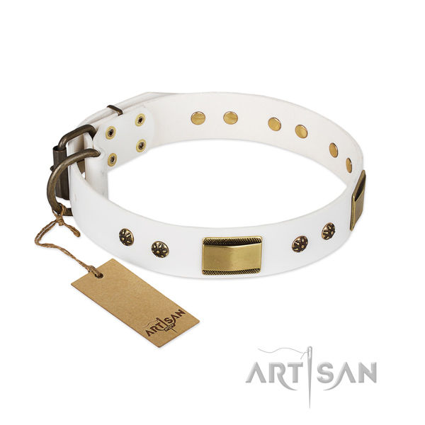 Unique full grain natural leather collar for your four-legged friend