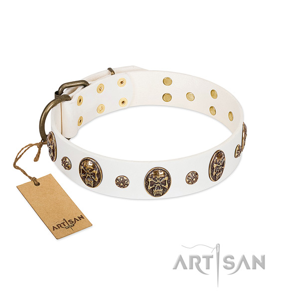 Studded genuine leather collar for your four-legged friend