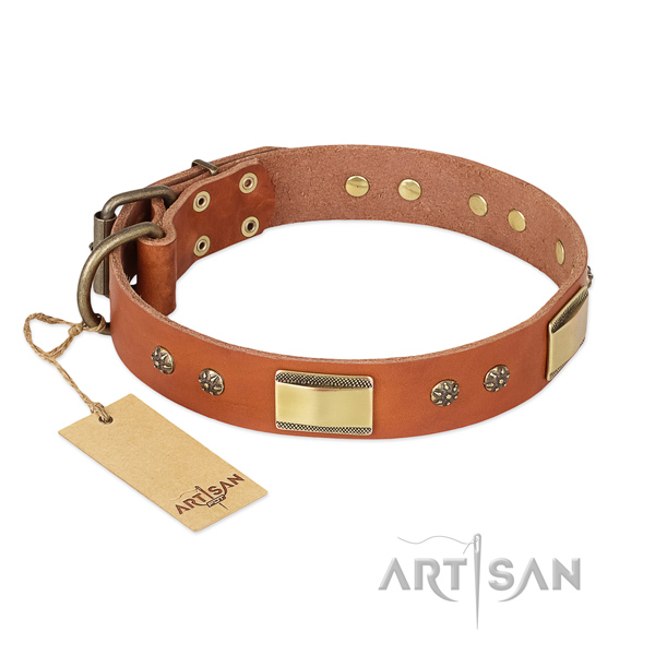 Handmade full grain leather collar for your four-legged friend