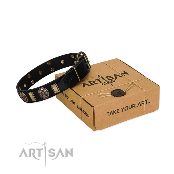 Exceptional leather collar for your lovely four-legged friend