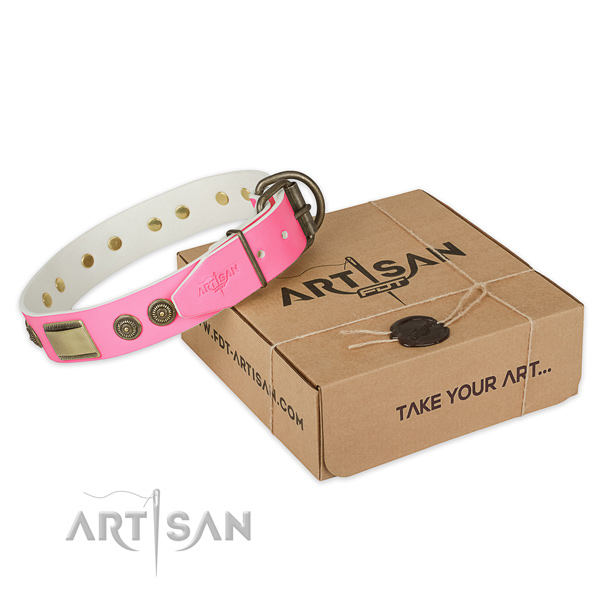 Corrosion proof fittings on dog collar for daily walking