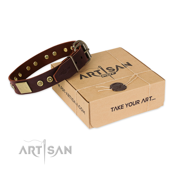 Corrosion proof fittings on dog collar for daily walking