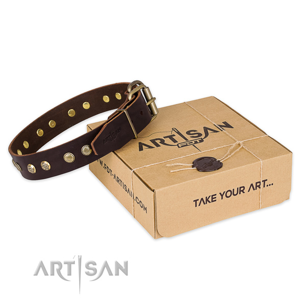 Corrosion proof hardware on leather collar for your beautiful four-legged friend