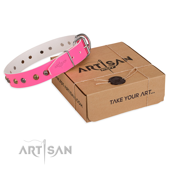 Comfortable wearing dog collar with Inimitable rust resistant embellishments