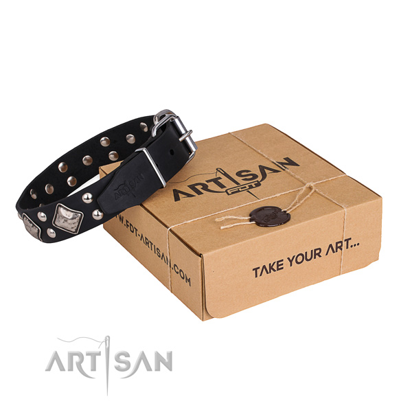 Comfortable wearing dog collar with Inimitable rust resistant embellishments