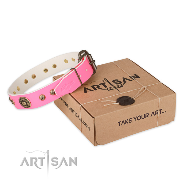 Rust resistant buckle on full grain natural leather dog collar for stylish walking