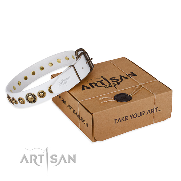 Reliable natural genuine leather dog collar made for daily use