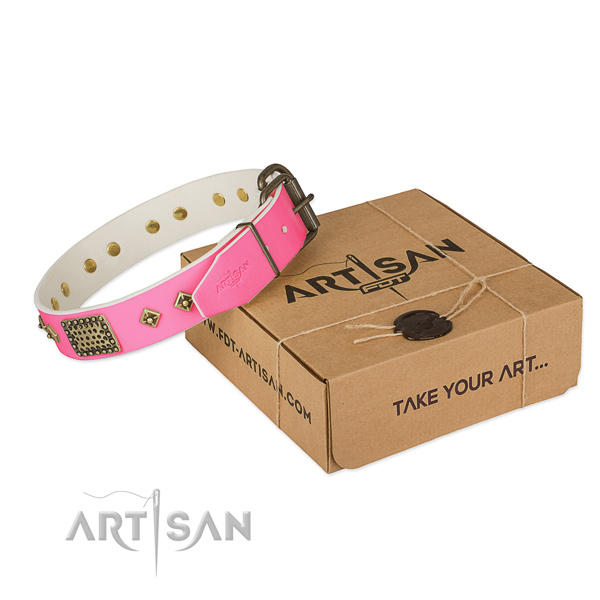 Strong hardware on dog collar for easy wearing