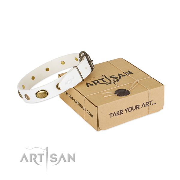 Impressive natural leather collar for your lovely four-legged friend