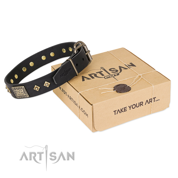 Adorned genuine leather collar for your impressive four-legged friend