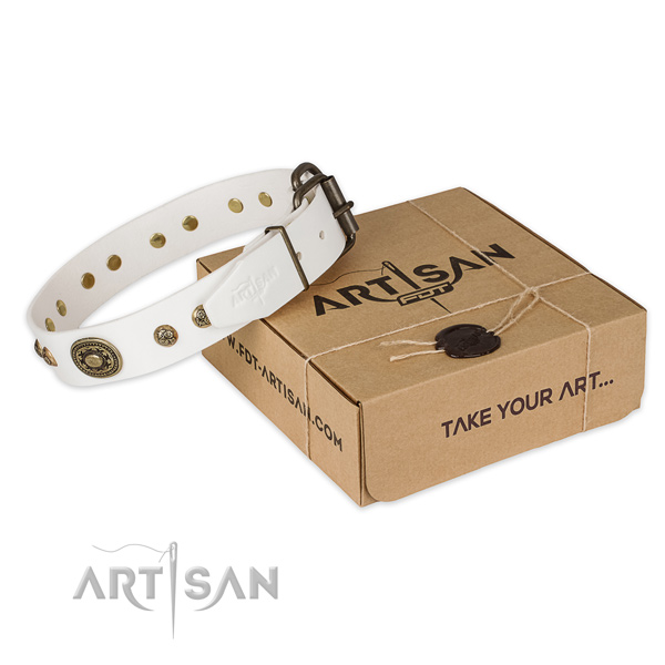 Corrosion proof D-ring on natural genuine leather dog collar for everyday use