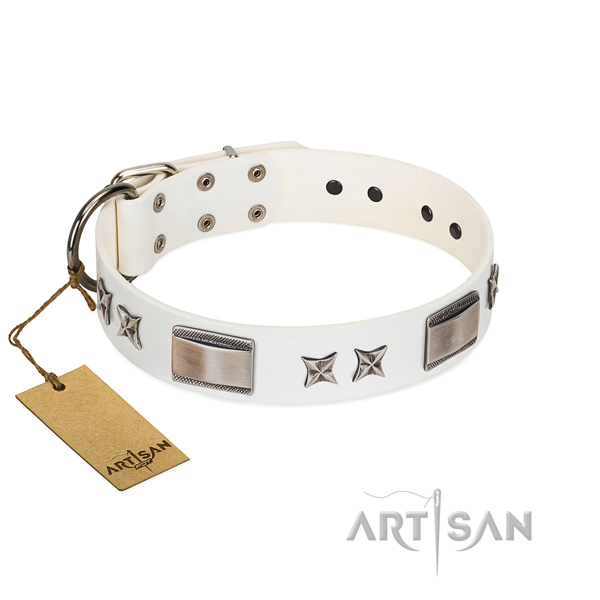 Amazing dog collar of genuine leather