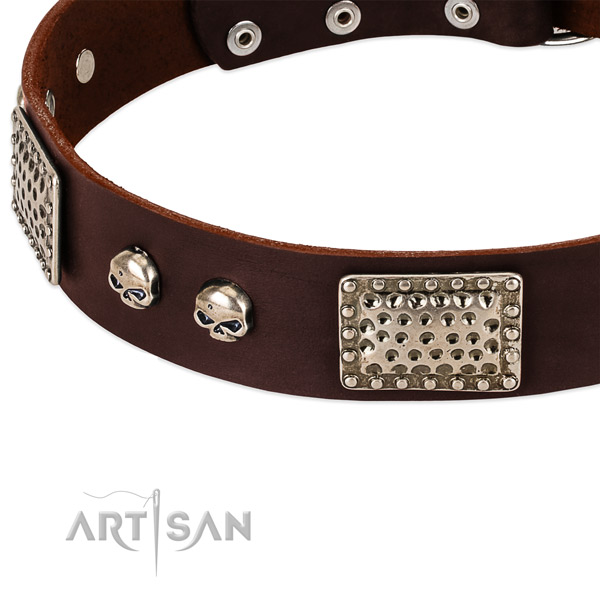 Reliable adornments on leather dog collar for your pet