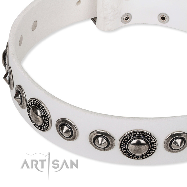 Comfortable wearing adorned dog collar of strong full grain leather