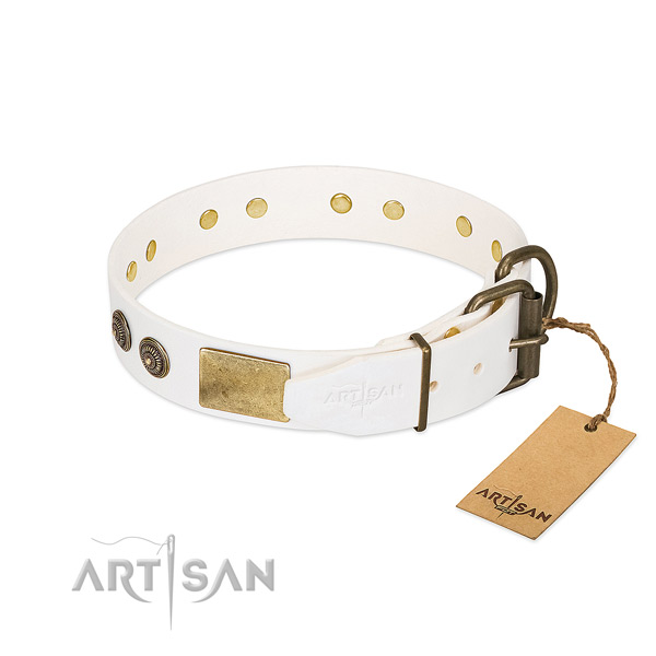 Durable D-ring on full grain genuine leather collar for daily walking your doggie