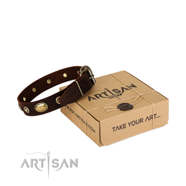 Corrosion proof adornments on full grain natural leather dog collar for your dog