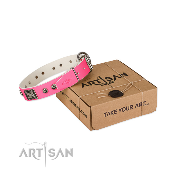 Reliable embellishments on dog collar for basic training