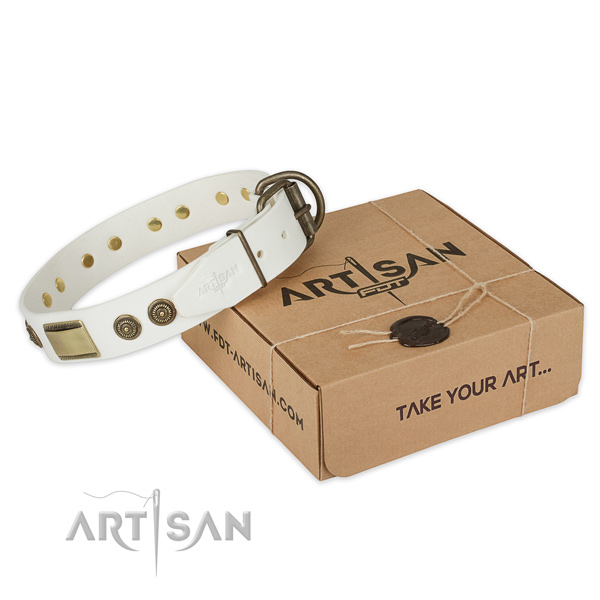 Rust-proof fittings on leather dog collar for comfortable wearing