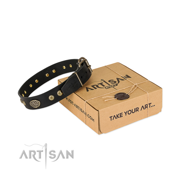 Corrosion resistant studs on full grain natural leather dog collar for your four-legged friend