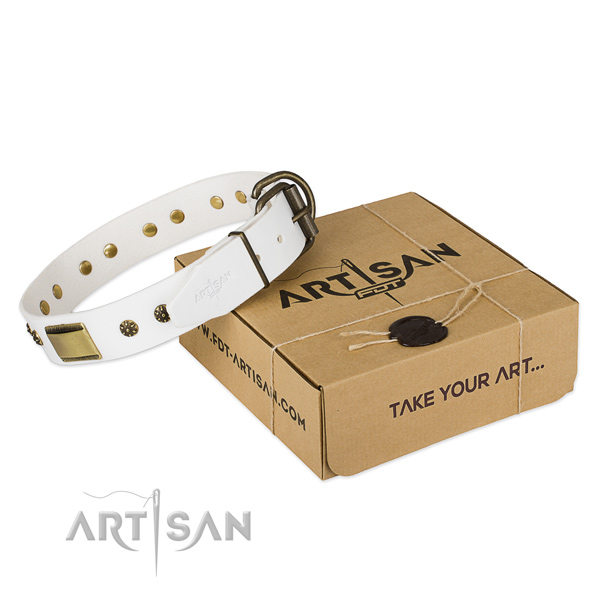 Stunning genuine leather collar for your impressive canine