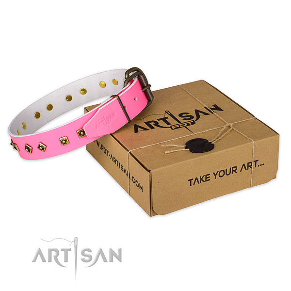 Rust-proof D-ring on genuine leather dog collar for daily walking