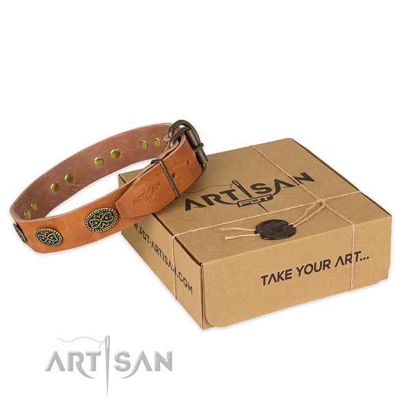 Rust resistant traditional buckle on full grain natural leather collar for your impressive canine