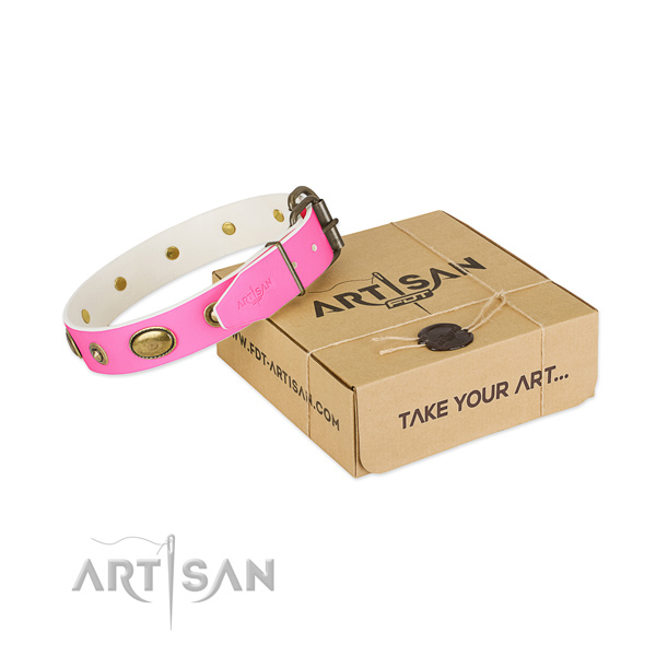 Exceptional natural leather collar for your beautiful doggie