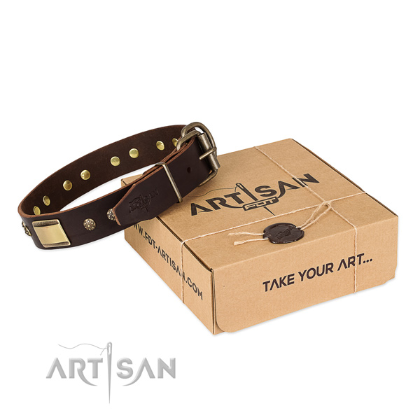 Studded leather collar for your lovely doggie