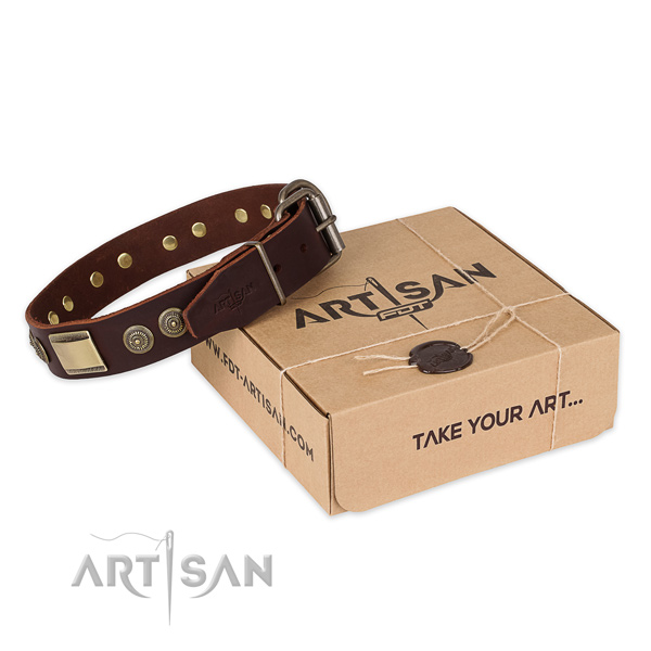 Corrosion proof traditional buckle on natural genuine leather dog collar for basic training