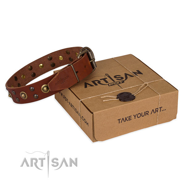 Rust resistant traditional buckle on genuine leather collar for your stylish doggie