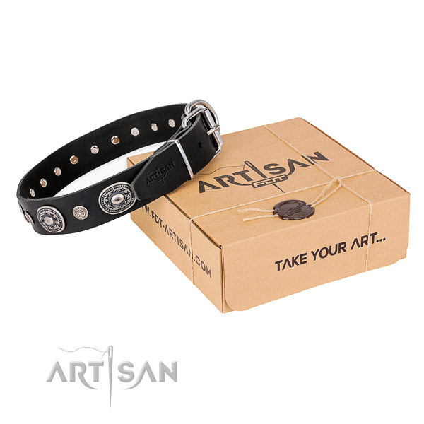 Flexible full grain genuine leather dog collar handcrafted for everyday use