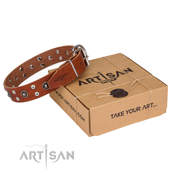 Strong fittings on full grain genuine leather collar for your attractive dog