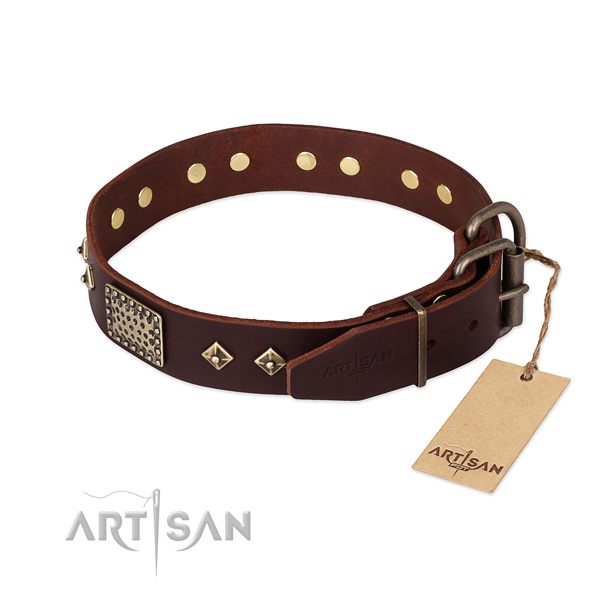 Leather dog collar with reliable hardware and studs