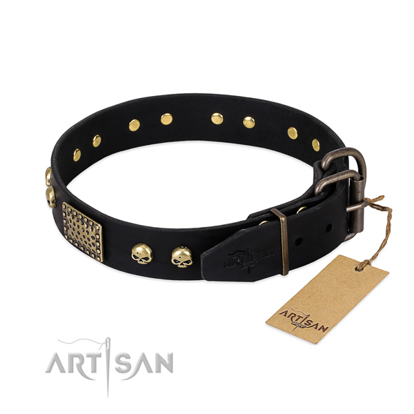 Reliable studs on daily use dog collar