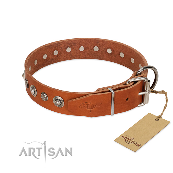 Top quality full grain leather dog collar with impressive adornments