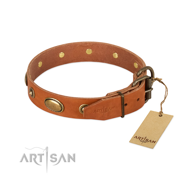 Reliable adornments on natural leather dog collar for your doggie