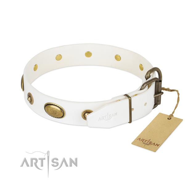 Strong studs on leather dog collar for your doggie
