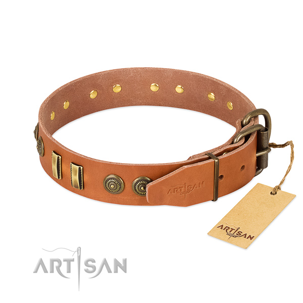 Durable embellishments on leather dog collar for your doggie