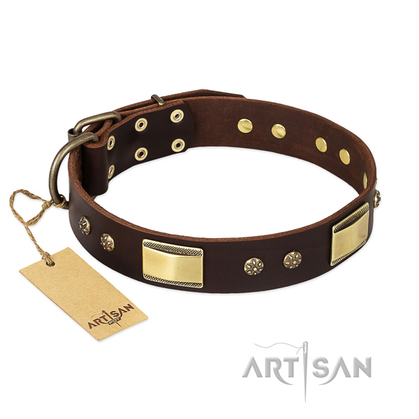 Leather dog collar with strong traditional buckle and decorations